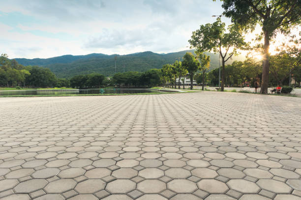 Best Best Driveway Pavers  in Cottage Grove, MN